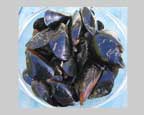 mussels